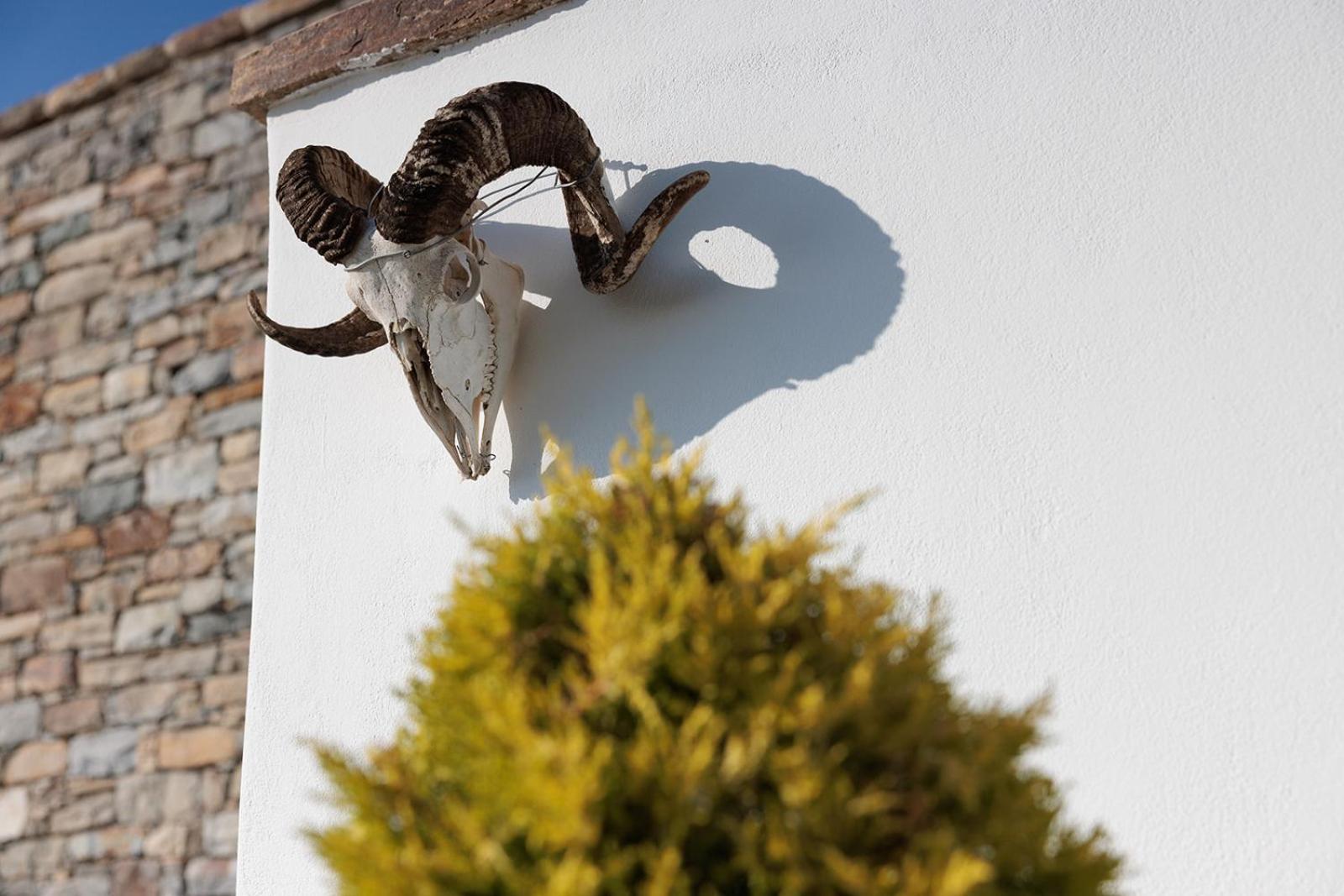 Villa Papa Glinado Naxos 외부 사진
